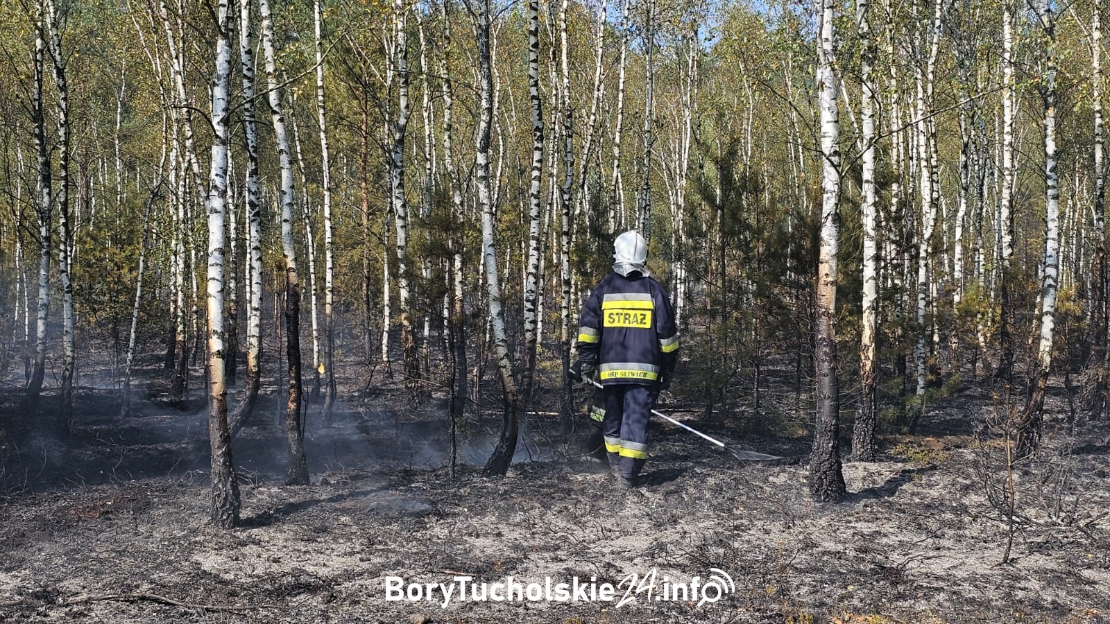 Pożar lasu w Białej w gminie Tuchola
