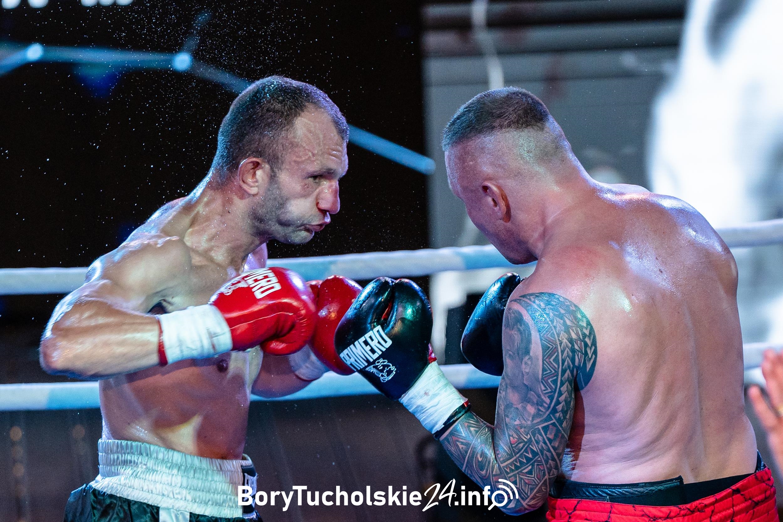 Po 10 latach do Śliwic wrócił Boxing Show (FOTO)