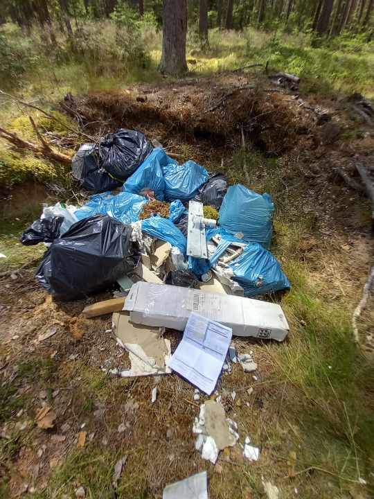 Posypały się mandaty