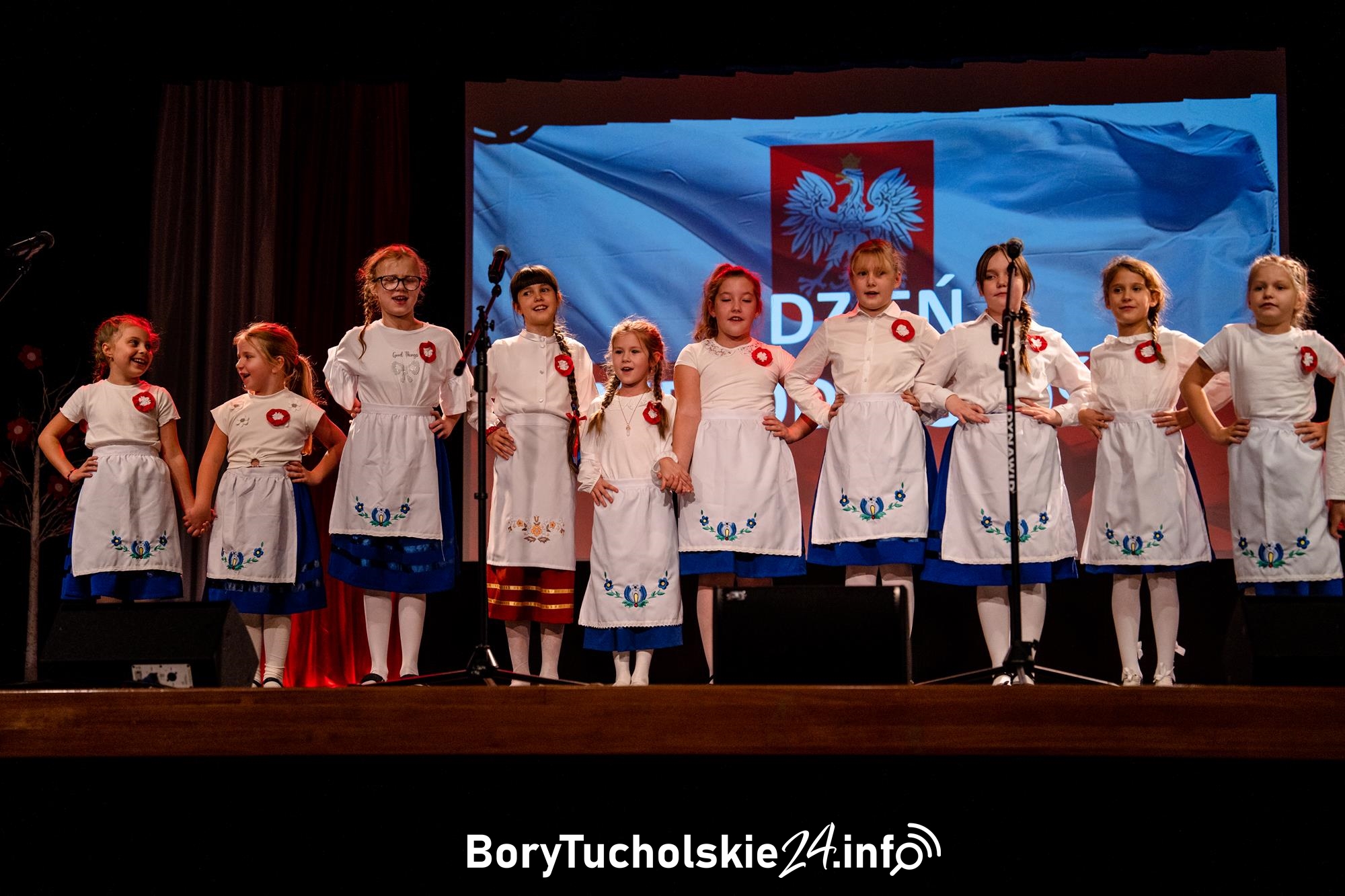 Obchody Dnia Niepodległości w Śliwicach (FOTO)