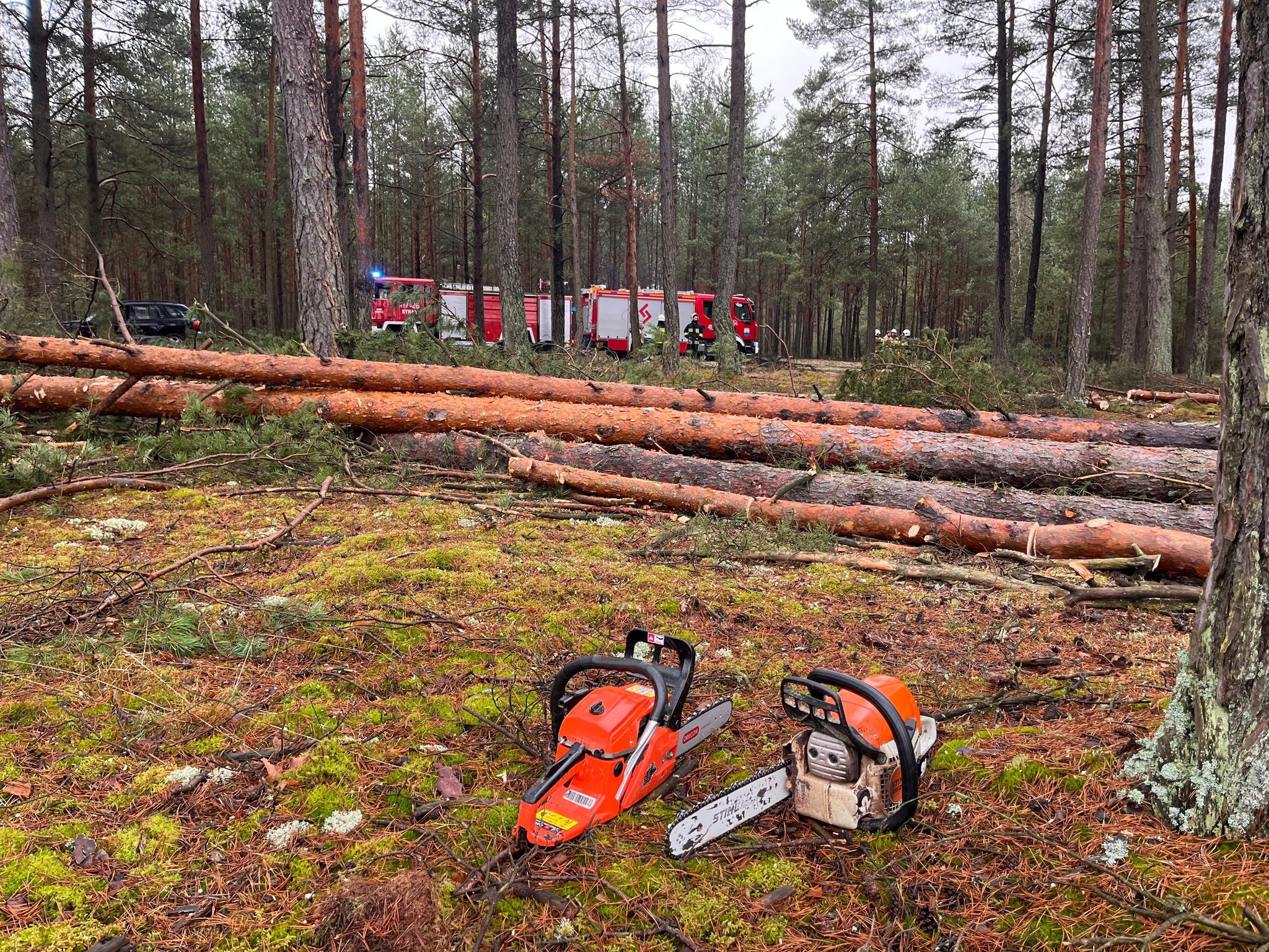 Poważny wypadek w lesie w gminie Czersk