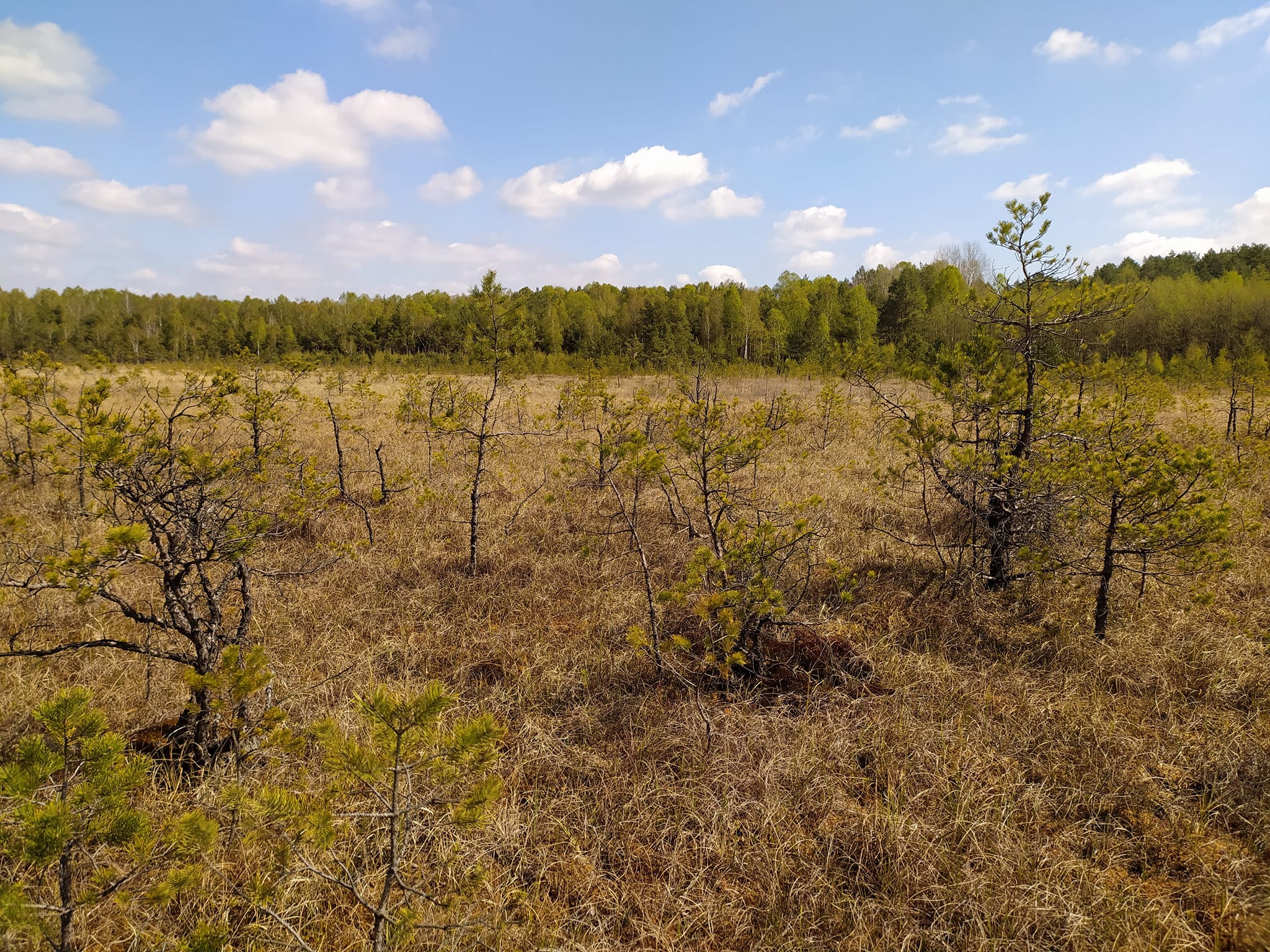 Nowe rezerwaty przyrody w naszym regionie