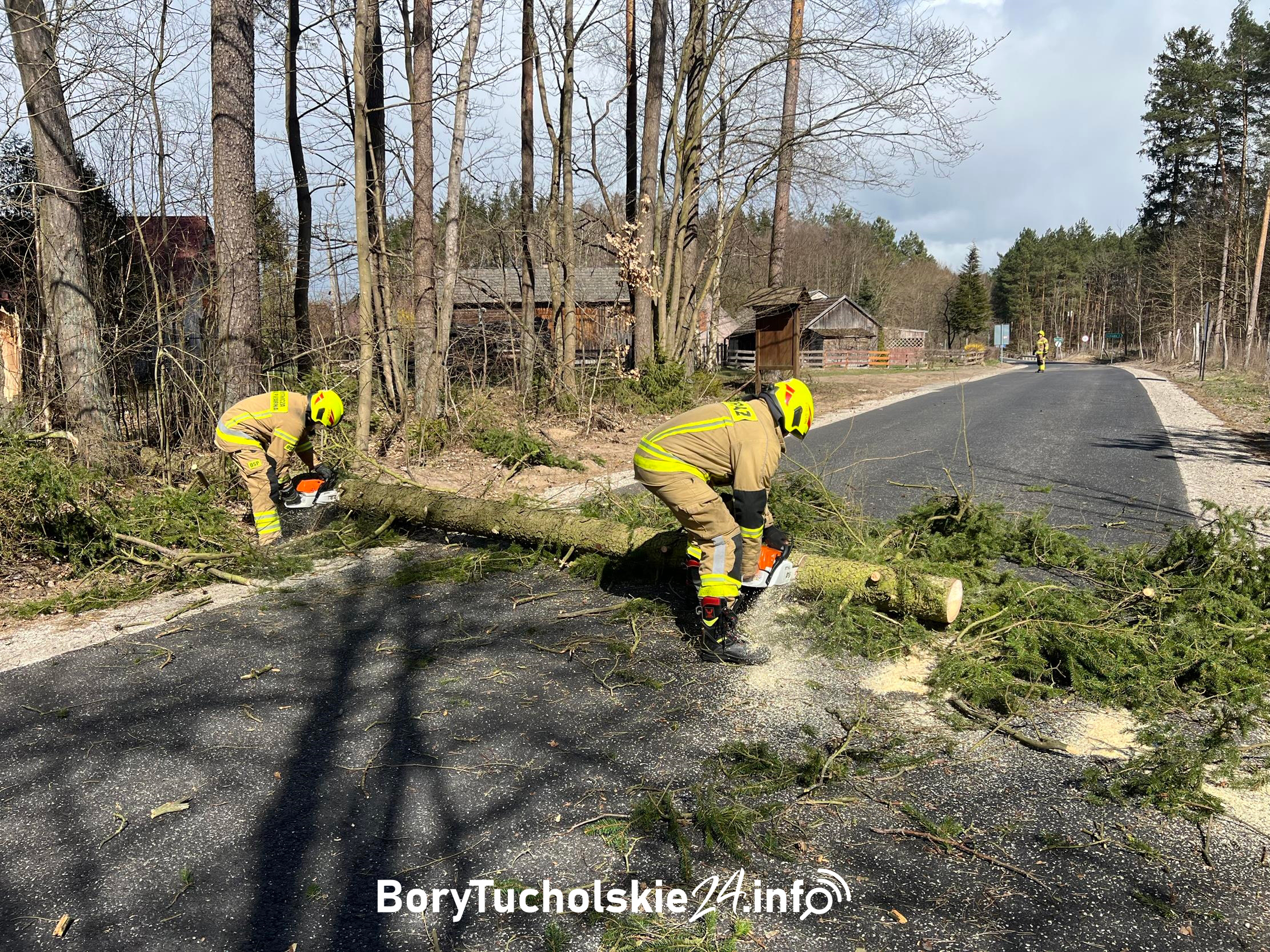 Mocno wieje. Strażacy usuwali z drogi powalone drzewo (FOTO, WIDEO)