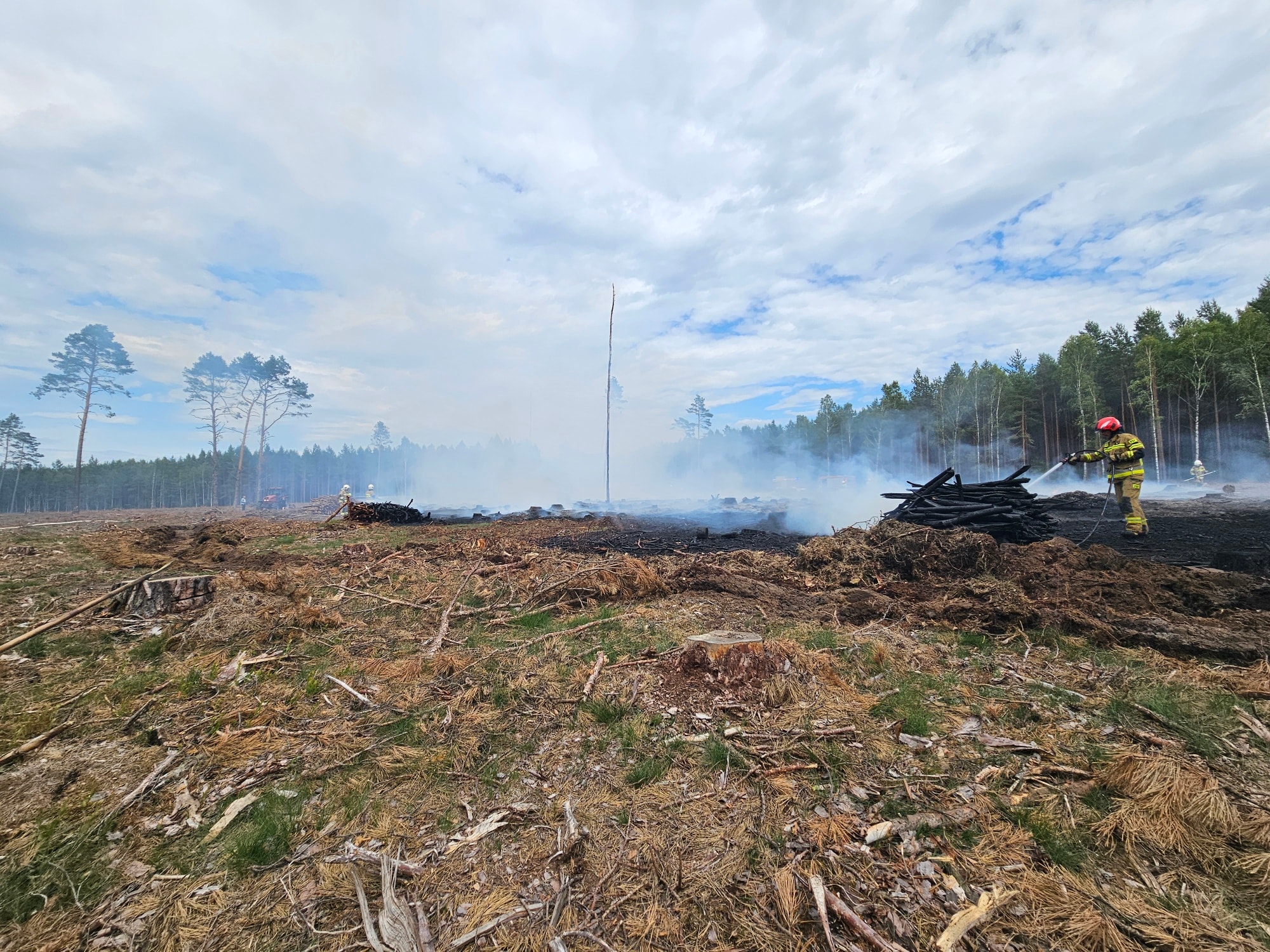 Pożar lasu w gminie Tuchola (FOTO)