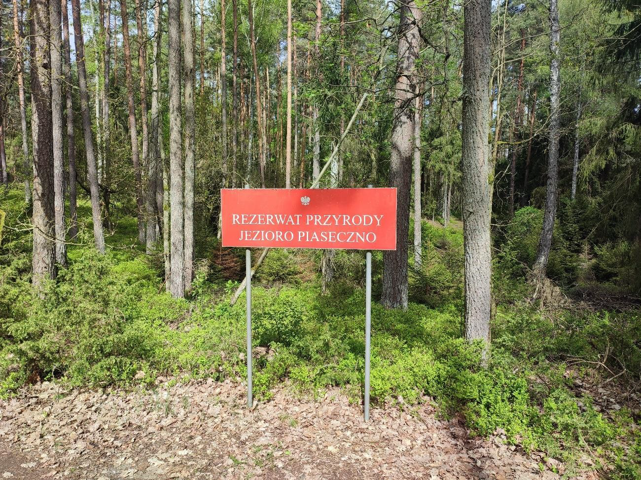 Moje miejsce w Borach Tucholskich – fotoreportaż, który wygrał w konkursie