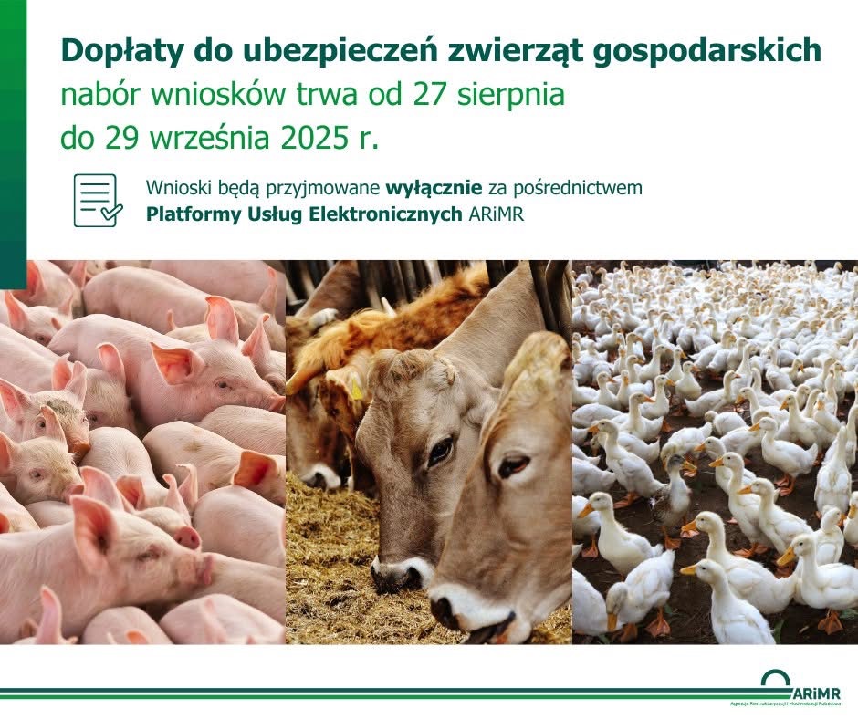 Refundacja ubezpieczeń dla hodowców zwierząt – rusza nowy nabór wniosków w ARiMR