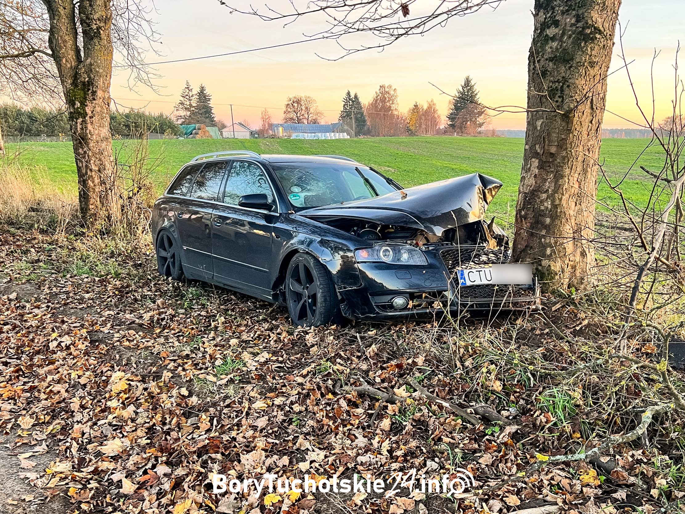 Kierowca audi uderzył w drzewo. Nieprawidłowe wyprzedzanie?
