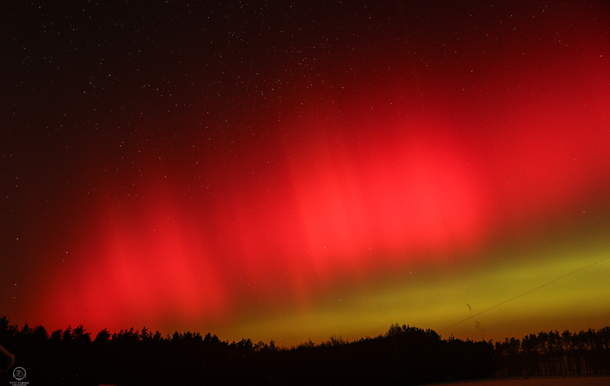 Zorza polarna w Borach Tucholskich (FOTO)
