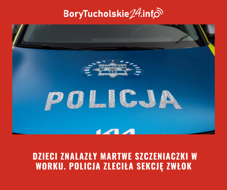 Martwe pieski w worku. Makabryczne znalezisko w Czersku 