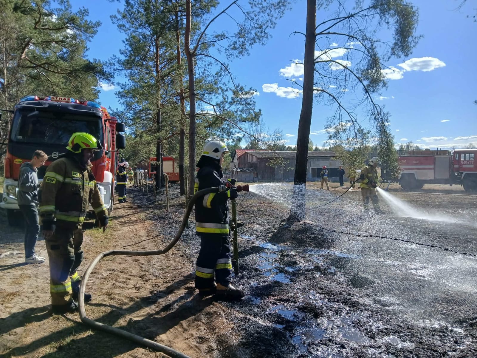 Pożar w lesie w Klocku. Strażacy obronili zabudowania (FOTO)