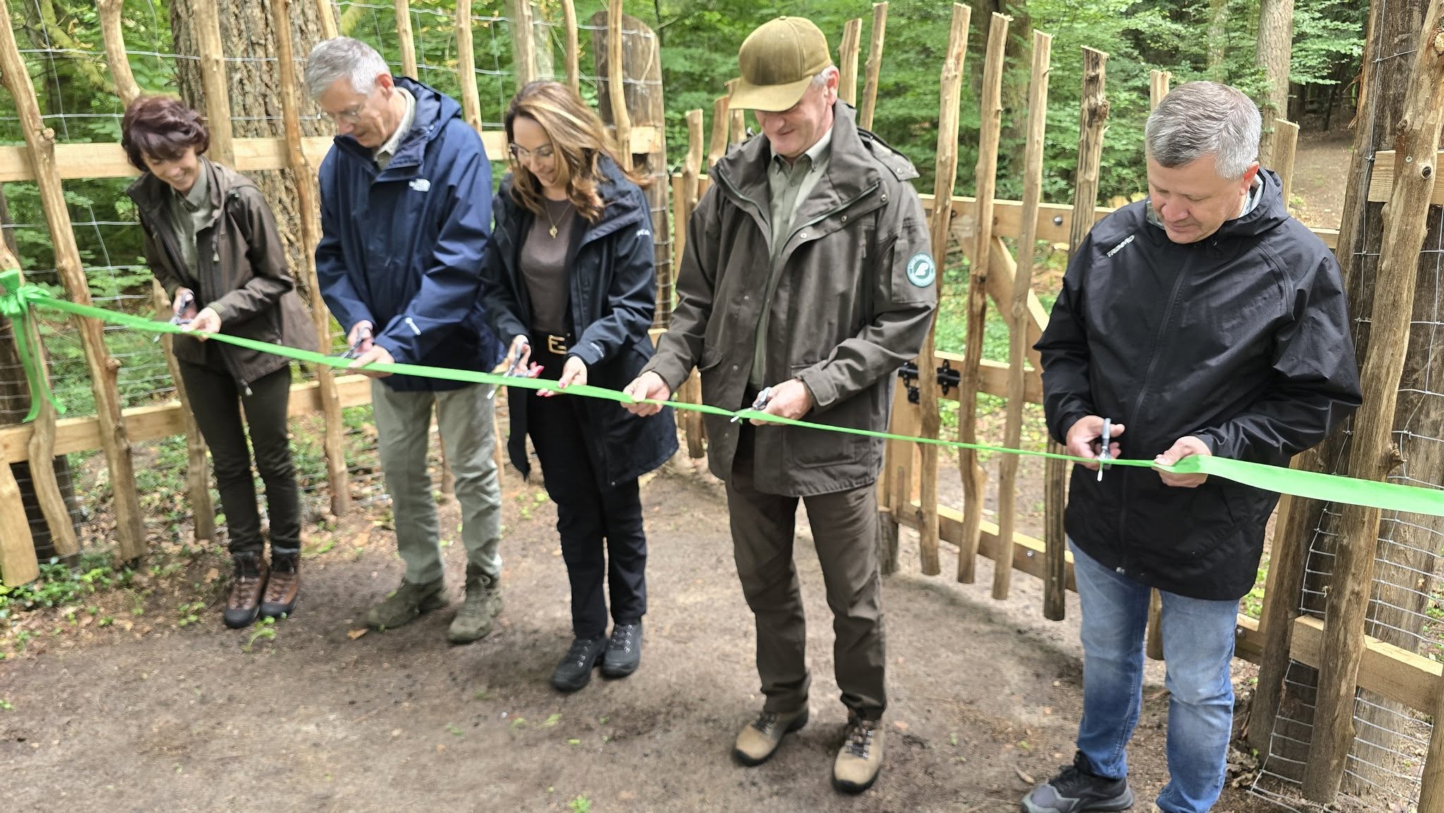 Rezerwat Cisów „Jelenia Góra” dostępny dla turystów. Wytyczono nową ścieżkę w Borach Tucholskich (FOTO)