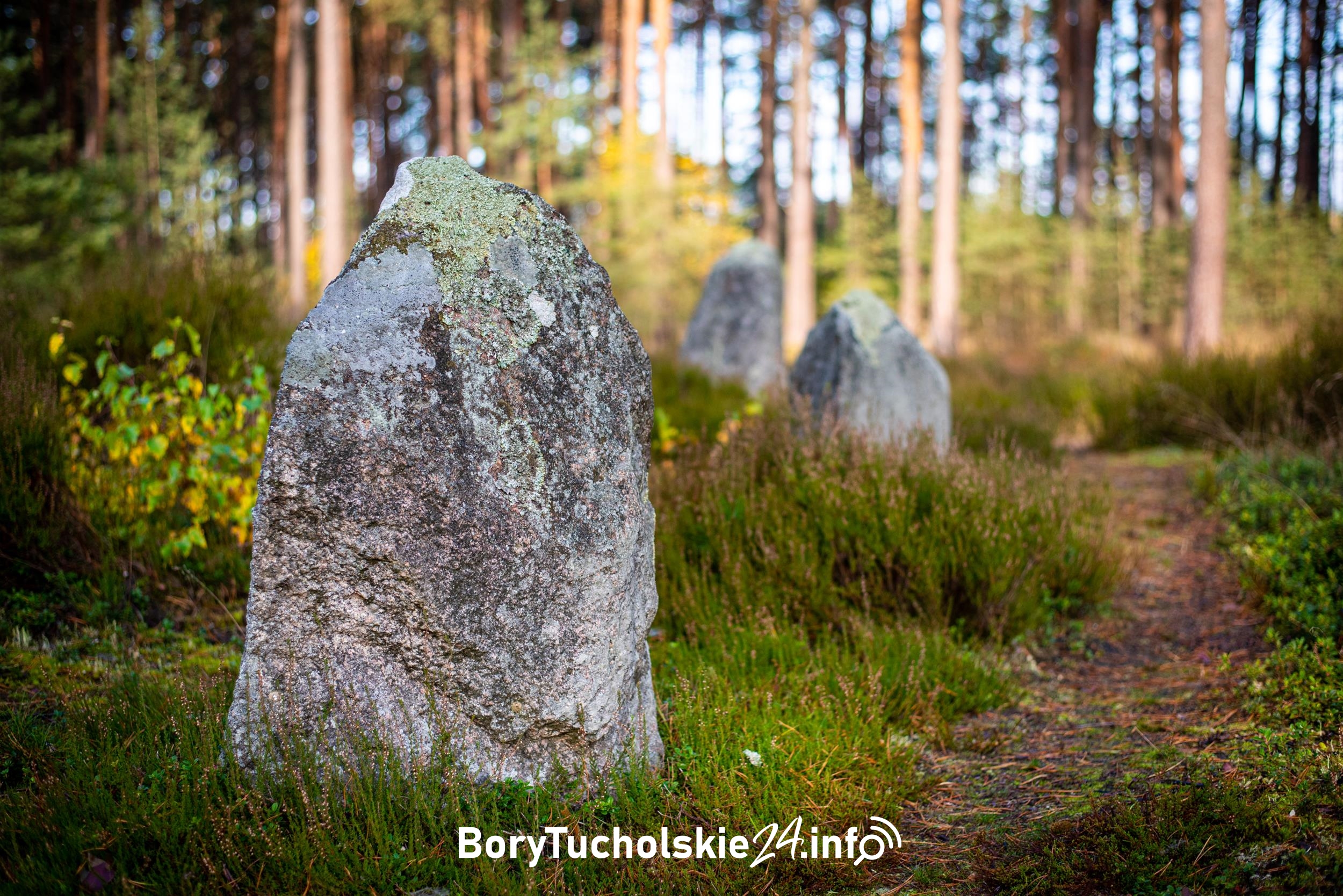 Kręgi Kamienne w Odrach.