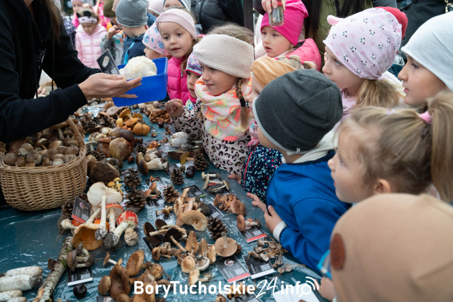  XXXI edycja wystawy grzybów w Tucholski Park Krajobrazowy