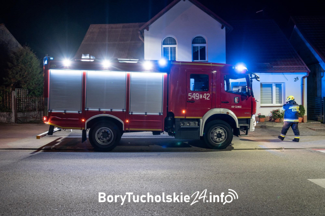 Wieczorna interwencja strażaków w Śliwicach