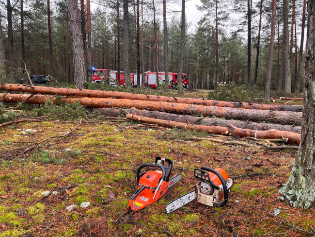 Poważny wypadek w lesie w gminie Czersk