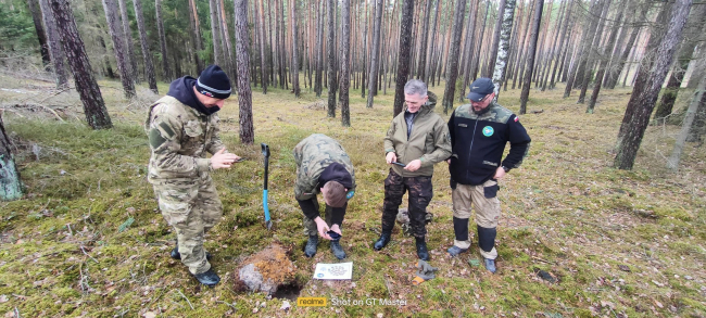 Niesamowite znalezisko w Borach Tucholskich. Krzyżackie szelągi i monety Jagiełły (FOTO)