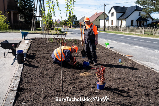 Nowe nasadzenia na skwerku w Legbądzie (FOTO)