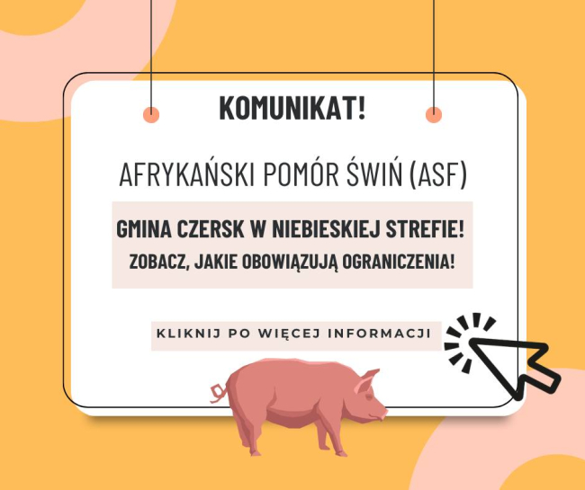Gmina Czersk objęta niebieską strefą ASF – nowe zasady bioasekuracji i zakazy
