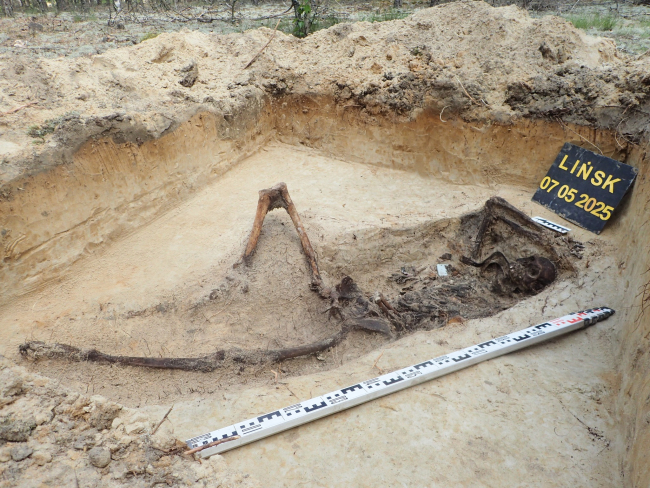 Ekshumacja w gminie Śliwice. Znaleziono szczątki żołnierza
