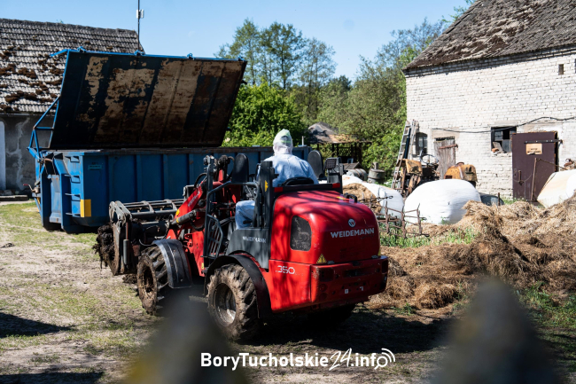 Rozpoczęła się wywózka martwych zwierząt z Klaskawy. Wokół czuć straszny fetor