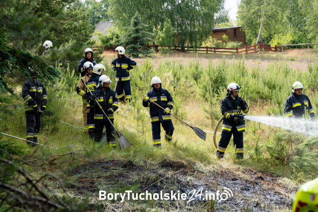 Pożar ściółki leśnej w Linówku. Zagrożenie zwiększał silny wiatr (FOTO, WIDEO)