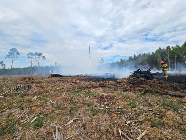 Pożar lasu w gminie Tuchola (FOTO)