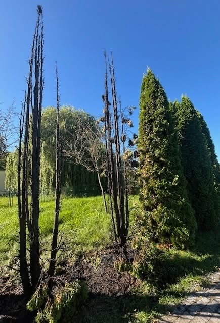 Podpalenie na ścieżce nad jeziorem Głęboczek