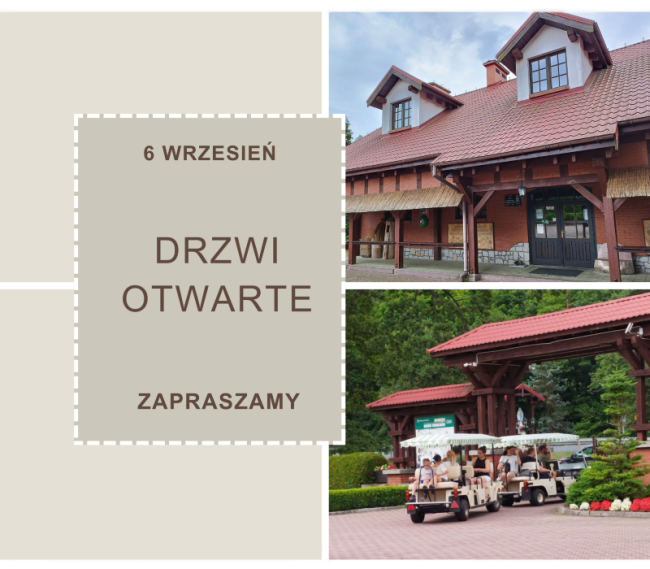 Leśne atrakcje podczas dożynek w Camper Parku Woziwoda