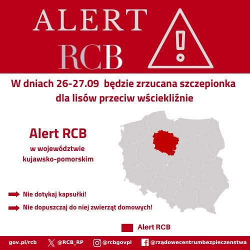 Szczepionki dla lisów w województwie kujawsko-pomorskim