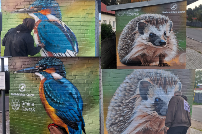 Zimorodek i jeż zdobią już przystanek na osiedlu „Tucholskim” w Czersku (FOTO)