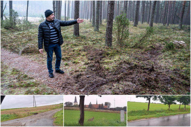 Kolejny incydent z wilkiem. „Zwierzę szło w moją stronę” fot. Borytucholskie24.info