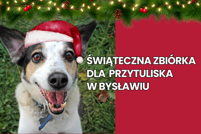 Świąteczna zbiórka dla Przytuliska w Bysławiu wystartowała. Sprawdź jak pomóc
