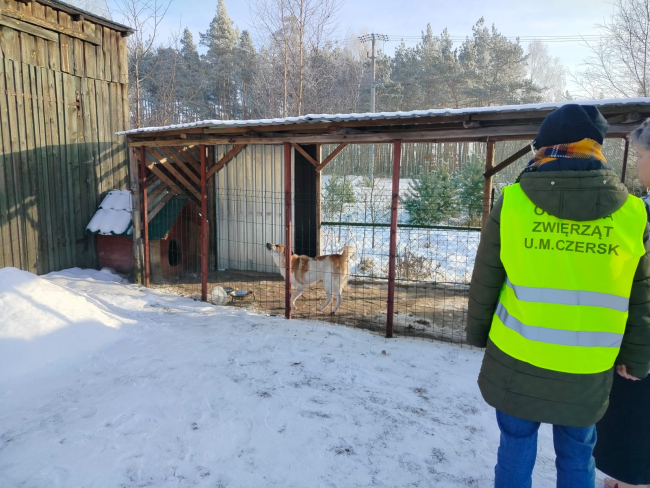 Pracownicy Urzędu Miejskiego w Czersku kontrolują warunki utrzymania psów zimą