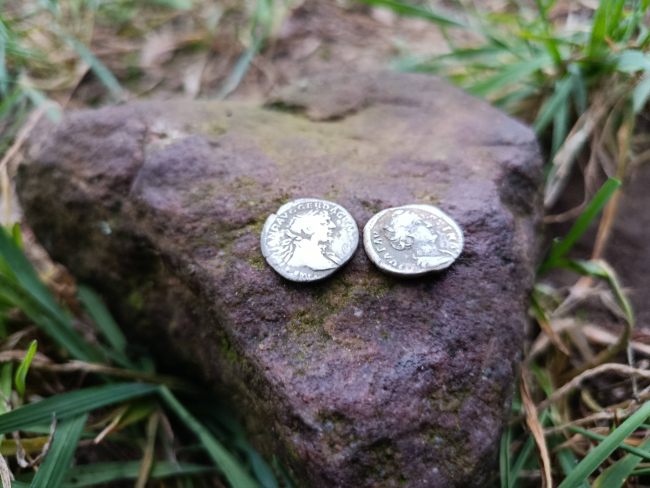 Rzymski medalion i monety znaleziony w Borach Tucholskich (FOTO)