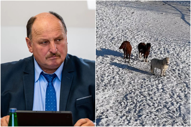 Wojewoda Pomorska nie zajmie się sprawą radnego Zenona Konefki