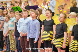 Zdjęcie 248