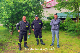 Zdjęcie 81