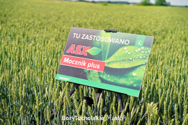 Zdjęcie 25