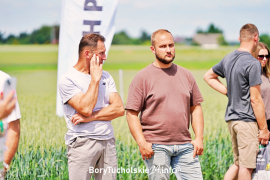 Zdjęcie 100