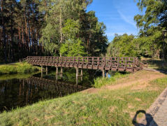Zdjęcie 9