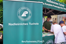 Zdjęcie 7