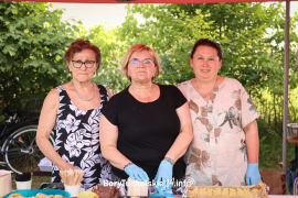 Zdjęcie 15