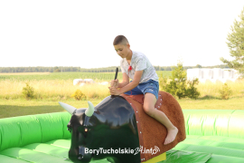 Zdjęcie 48