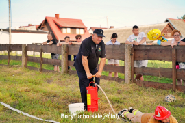Zdjęcie 92