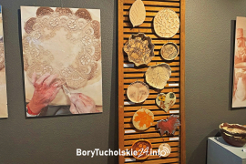 Zdjęcie 8