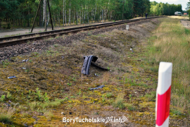 Zdjęcie 10