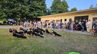 Zdjęcie 61