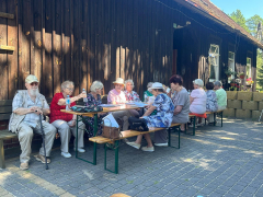 Zdjęcie 13