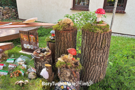 Zdjęcie 30