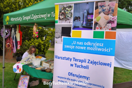 Zdjęcie 52